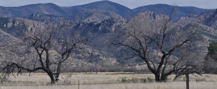 the Dragoon Mountains in the distance